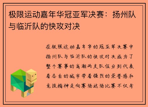 极限运动嘉年华冠亚军决赛：扬州队与临沂队的快攻对决