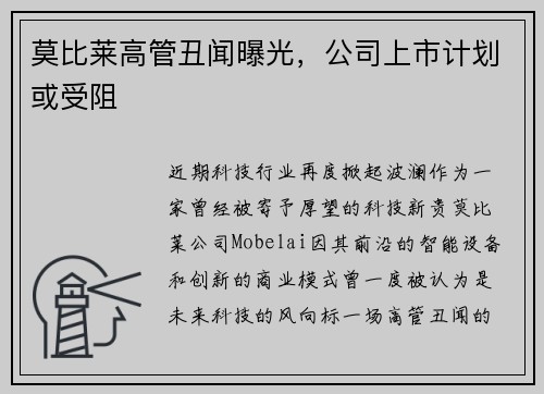 莫比莱高管丑闻曝光，公司上市计划或受阻